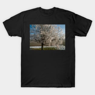 Winter Scene - Frosted Tree T-Shirt